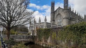Dundalk Tidy Towns granted funding for Ramparts River study
