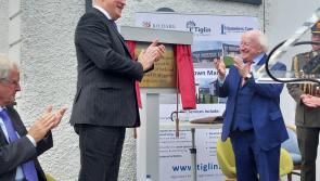 'Crossed the line': President Higgins' speech in Naas, Kildare criticised by govt ministers