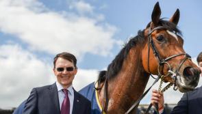 Plenty of Tipperary interest in the spectacular Tattersalls Irish Guineas weekend at the Curragh