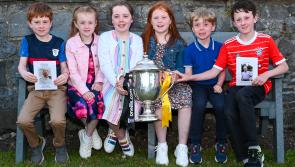 Pictures: A great day out as Kilkenny's Fr Jim Murphy celebrates Golden Jubilee