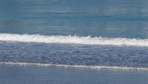 Prohibition on swimming  underway at popular Clare bathing spot lifted