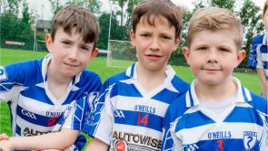 PHOTO GALLERY: Naas GAA u10 hurling blitz with teams from across Kildare and nationwide