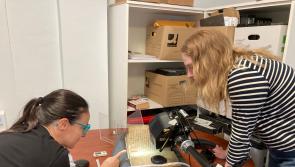 'Inks and Skins' project visits the Medieval Mile Museum in Kilkenny

