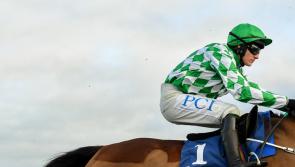 Cancelled horse racing meeting in Tipperary has been rescheduled for next Monday