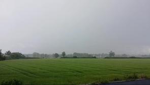 WATCH: And the thunder rolls! Wind, rain and hail rips through Offaly 