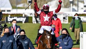 Cheltenham Festival 2022 Day 2 Tips - The horses worth a bet on Wednesday