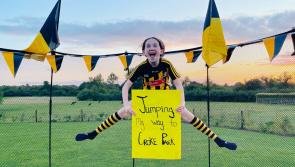 Kilkenny families urged to help get the Cats to Croker!