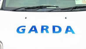 Teen charged over theft of wallet from Ukrainian woman in Limerick town
