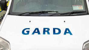 Young motorist dies in Limerick road traffic collision