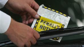 Kilkenny: Over 4,800 parking fines in ten months, 42 for litter - but zero for dog fouling 