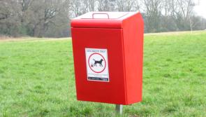 Urgent calls for dog fouling bins along Longford's Royal Canal walkway
