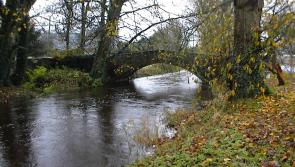 KILDARE ROUND UP: Clane-Maynooth Municipal District story briefs for March 2023