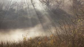 WEATHER: 'Fog will clear through this morning' Met Éireann daily weather forecast for Carlow 
