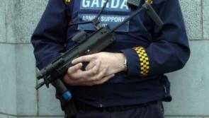 A number of people stationed in Leitrim carry fire arms