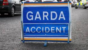 Gardai appeal for witnesses after man killed in crash in Louth