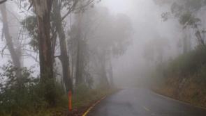 WATERFORD WEATHER: Mist and drizzle expected today (Feb 21) with ice possible overnight