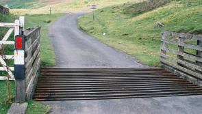 Leitrim County Council rejects cattle grid proposal