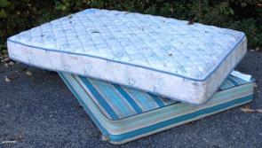 Nenagh civic amenity centre attracted 29,500 users last year