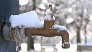 Laois residents asked to check for leaks after the freeze