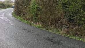 Leitrim road is so dangerous one lady will not drive on it

