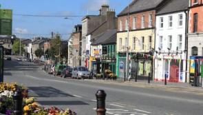 Complaints about pets at Kildare County Council apartments in Naas