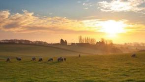 Louth Weather: Dry and warm 