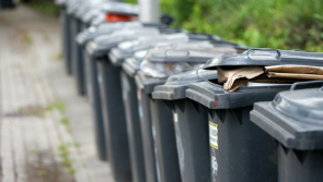 Bank Holiday bin collection, council services and leisure centre schedules confirmed