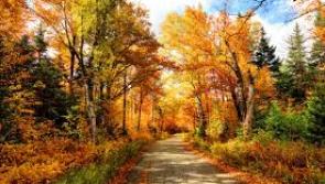 Tipperary walking club looks forward to season of mists and mellow fruitfulness