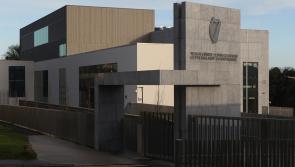 Animal neglect case in Donegal deemed too serious for District Court