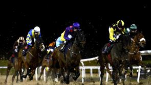 Young jockeys take center stage at Dundalk as apprentices among the winners