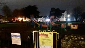 Cutbacks to Roscrea's Glebe Park lighting a retrograde step says councillor  