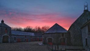 WATCH: Laois has a new tourist attraction - a brewery!
