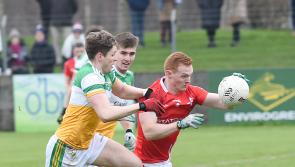Strong Offaly finish sees Louth end O'Byrne Cup without a win