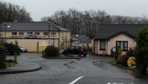 No confidence in HIQA acting on Brandon report says TD Pringle 