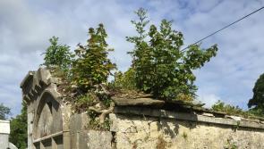 209-year-old O'Beirne mausoleum restored in Kilmore graveyard