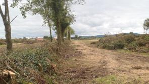Reminder issued for Kilkenny landowners on hedge-cutting and the law