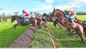 Excitement builds ahead of the big day at Gowran Park  tomorrow