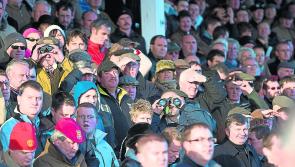  'It’s going to be the biggest and best Thyestes day yet': Excitement builds for Gowran