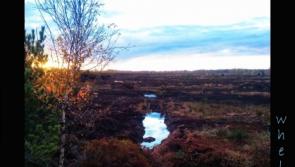 Dave Long and Shane O&rsquo;Neill  present Whelve at the Source Arts Centre 