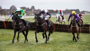 Stattler ready to deliver more Cheltenham cheer for Kilkenny trainer Willie Mullins