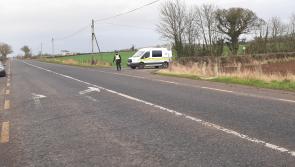 Locals in fear following attack on Kilkenny schoolgirl says local councillor