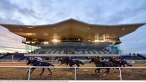 Lynam and O'Brien to the fore on good night for punters at Dundalk Stadium 