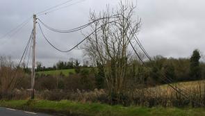 Copper wire thefts in Louth and surrounding counties cut off  phone and internet connection for days