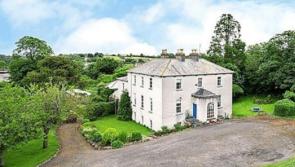Historic building with almost nine acres of zoned land in Offaly sold