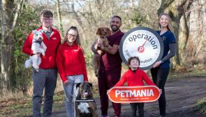 Operation TransPAWmation launches in Kilkenny!