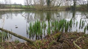 People in Louth to get chance to air views on local water quality