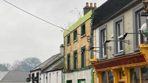 'Disgust' at bushes growing  on derelict Portlaoise hotel owned by council