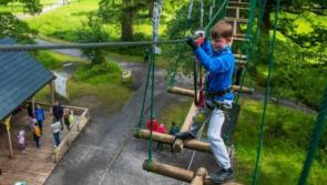 Forest adventure centre Zipit have applied to put a facility in Kildare
