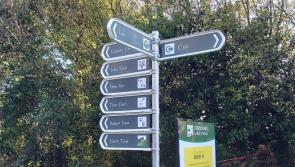 Way clear for improvement works at popular Offaly amenity