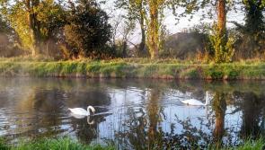 Exciting Greenway proposal mooted to link canals in Offaly and Kildare